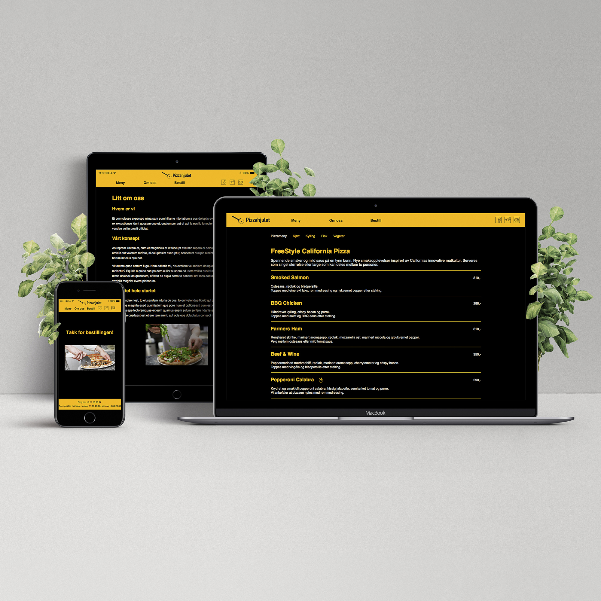 Nettside for pizzahjulet.